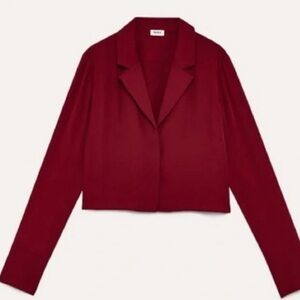 Aritzia Talula Cropped Button Down Blouse